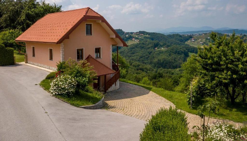 Planinca -Hisa Z Razgledom Apartment Smarje pri Jelsah Екстериор снимка
