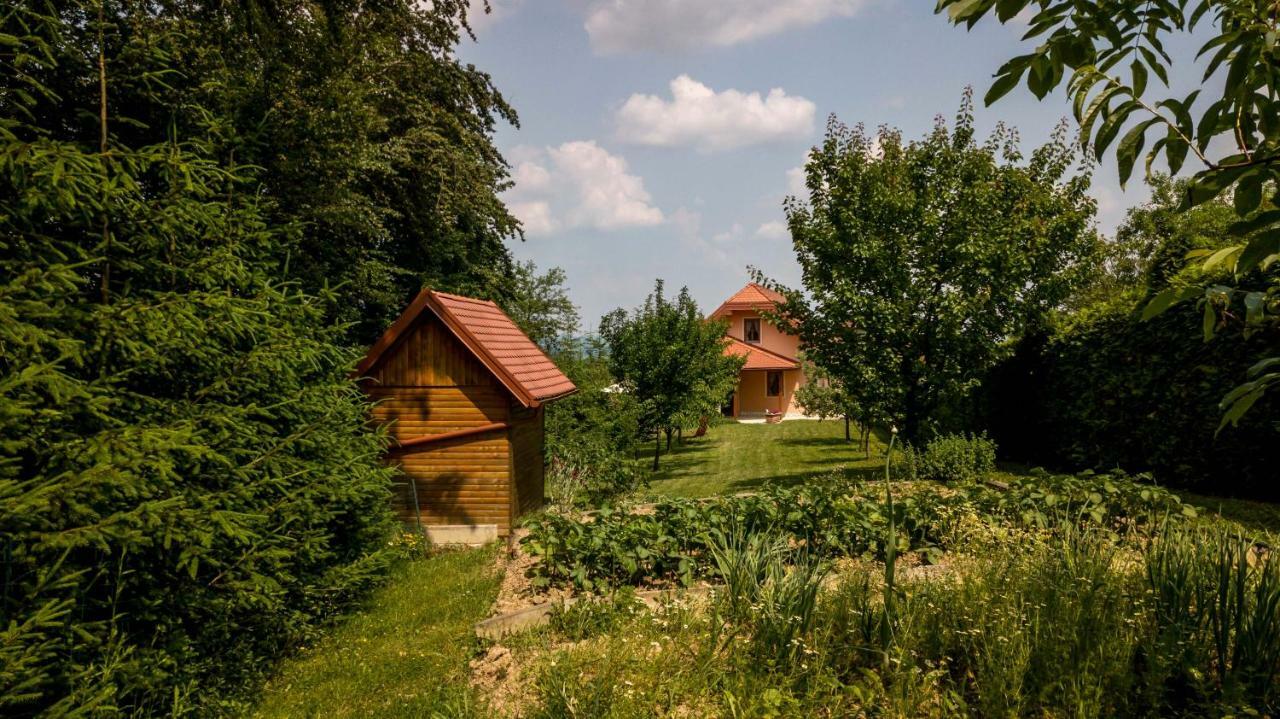 Planinca -Hisa Z Razgledom Apartment Smarje pri Jelsah Екстериор снимка