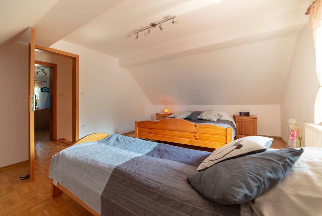 Planinca -Hisa Z Razgledom Apartment Smarje pri Jelsah Екстериор снимка