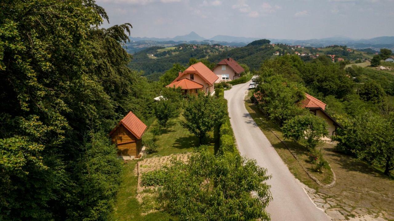 Planinca -Hisa Z Razgledom Apartment Smarje pri Jelsah Екстериор снимка