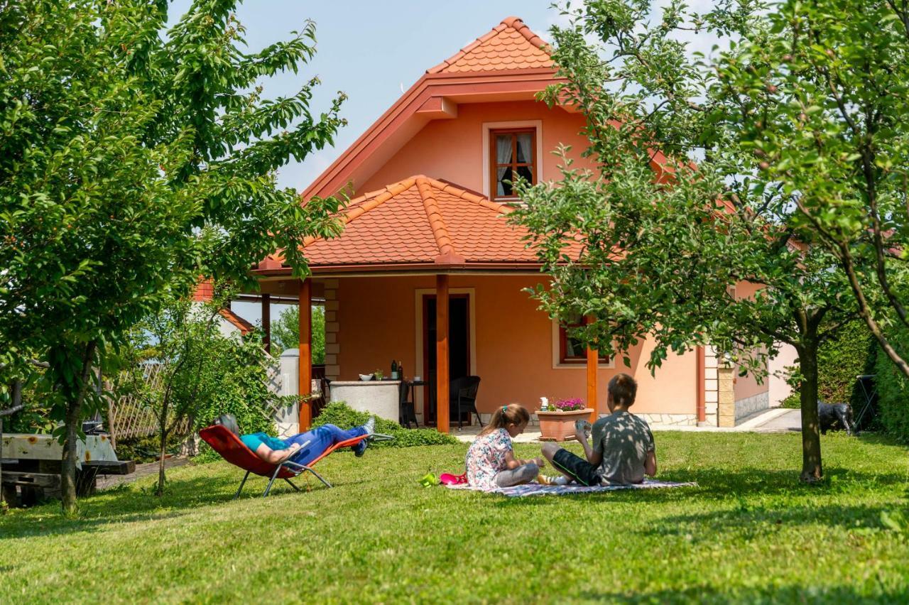 Planinca -Hisa Z Razgledom Apartment Smarje pri Jelsah Екстериор снимка