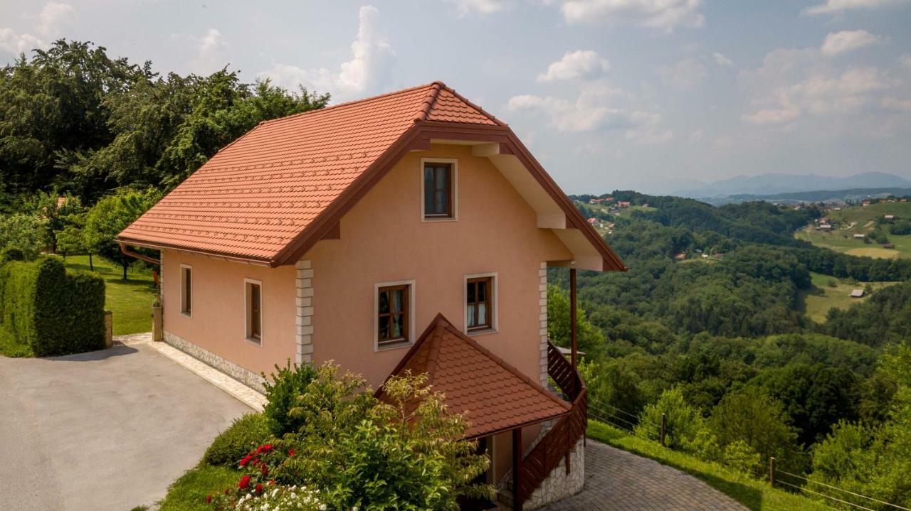 Planinca -Hisa Z Razgledom Apartment Smarje pri Jelsah Екстериор снимка